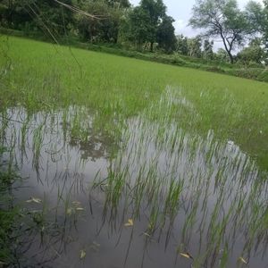 Meet your Posher, Sujit kewat